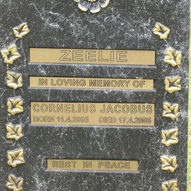 ZEELIE Cornelius Jacobus 2005-2005
