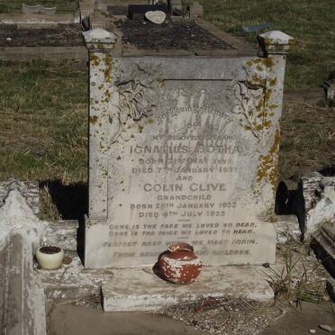 BOTHA Ignatius 1885-1937 :: BOTHA Colin Clive 1935-1935