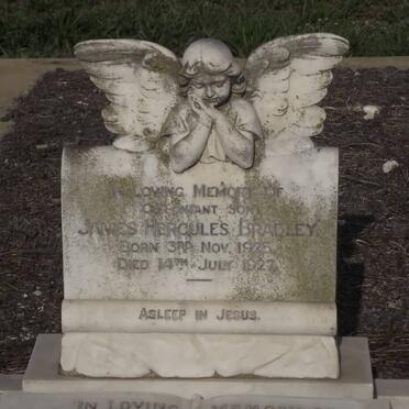 BRADLEY James Hercules 1925-1927