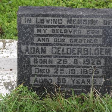 GELDERBLOEM Adam 1925-1955