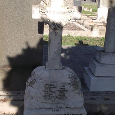 Lu - Surnames starting with the letters Lu