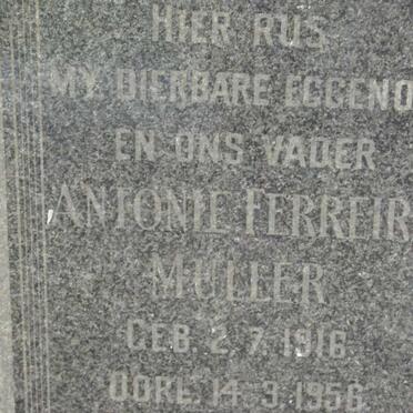 MULLER Antonie Ferreira 1916-1956