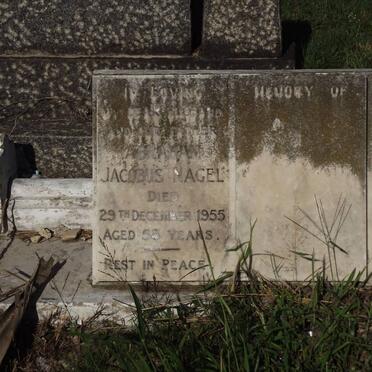 NAGEL Jacobus -1955