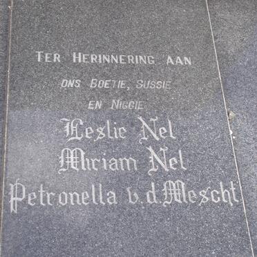 NEL :: MESCHT, van der