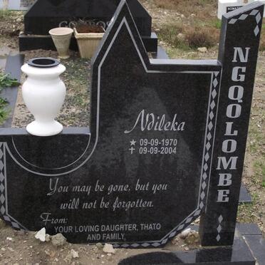 Ng - Surnames starting with the letters Ng