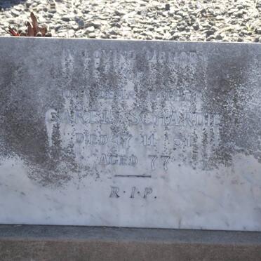 SCHARDIE Carel -1951