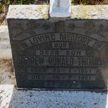 THOMAS Andrew Ronald 1961-1961