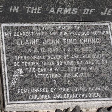 TING CHONG Elaine Joan 1945-1993