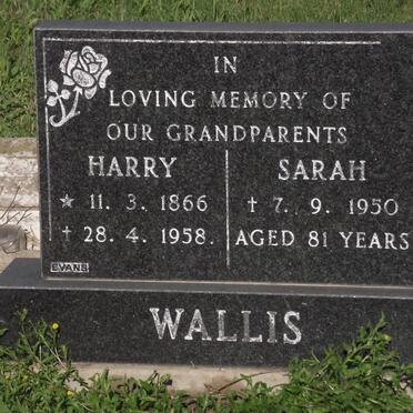 WALLIS Harry 1866-1958 &amp; Sarah -1950
