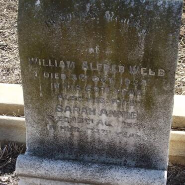 WEBB William Alfred -1924 &amp; Sarah Annie -1932