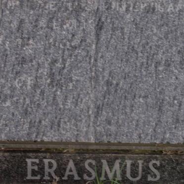 ? ERASMUS