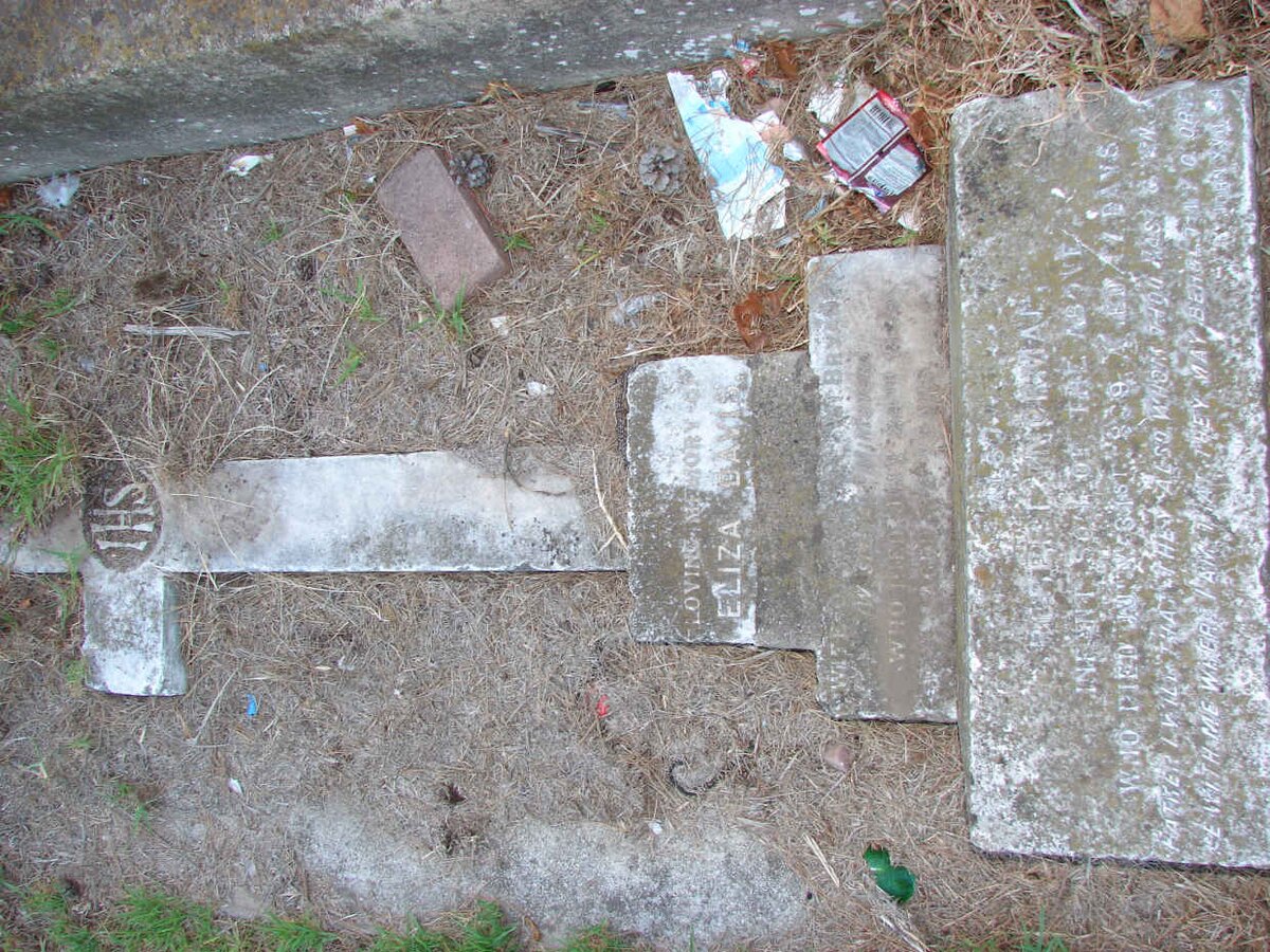 BRYANT Eliza Davis -18?9 :: BRYANT Robert Norman -1889