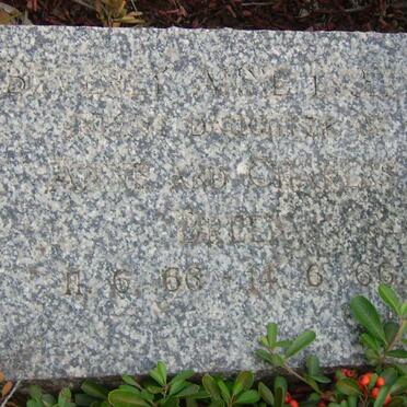 BREEN Beverly Anne 1966