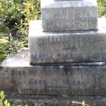 T - Vanne :: Surnames - T