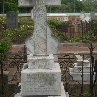 TIMMLER Henry -1913 &amp; Allison 1857-1896