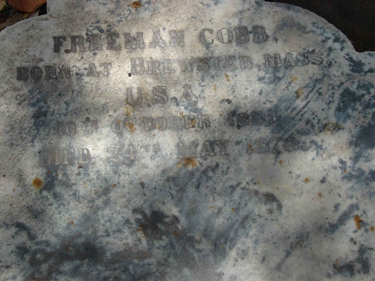 COBB Freeman 1830-1875