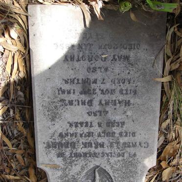 D - Vanne :: Surnames - D