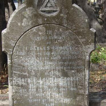 GEORGE Charles -1890 &amp; Sophia Louisa -1895 :: HOUGHTON Julia Sarah nee GEORGE -1908 