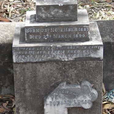 LUCAS Leonared 1889-1890