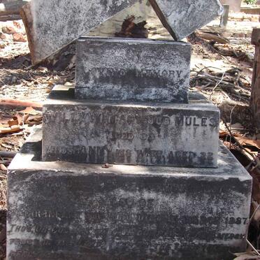 MULES William Marwood &amp; Fanny -1887 :: MULES Infant son -1887