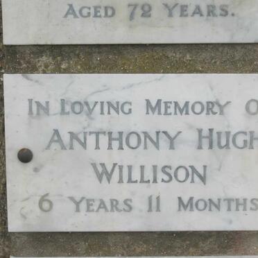 WILLISON Anthony Hugh