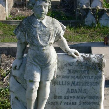 ADAMS Wallis Mathieson -195?