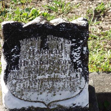 COX Harold Herbert -1925