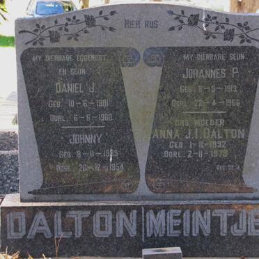 DALTON :: MEINTJES
