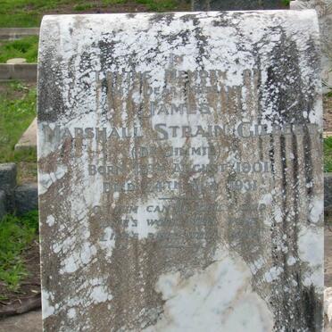 GILBERT James Marshall Strain 1901-1931