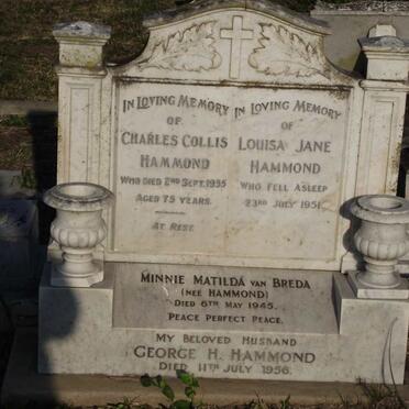 HAMMOND :: VAN BREDA