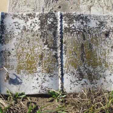 HAMILTON William C. 1893-1931 &amp; Lilian V. 1897-1935