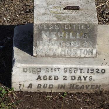 HORTON Neville -1920