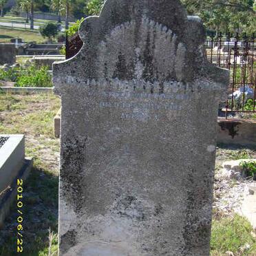 HOLLANDS William Thomas -1903