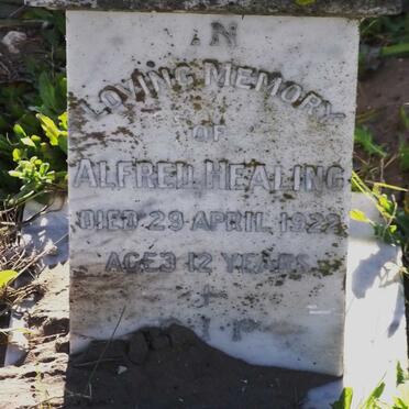 HEALING Alfred -1922
