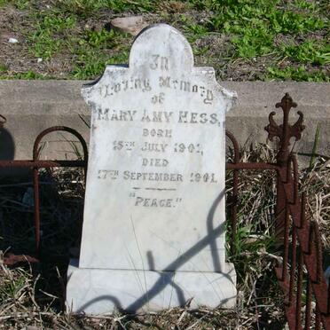 HESS Mary Amy 1901-1901