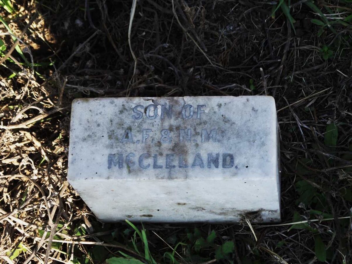 McCLELAND - Son
