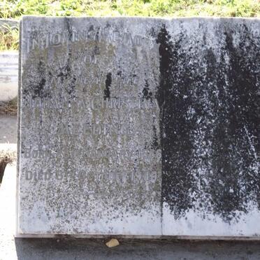 MEEDING Johanna Christina 1866-1940