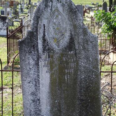 MULLER Cornelis -1917