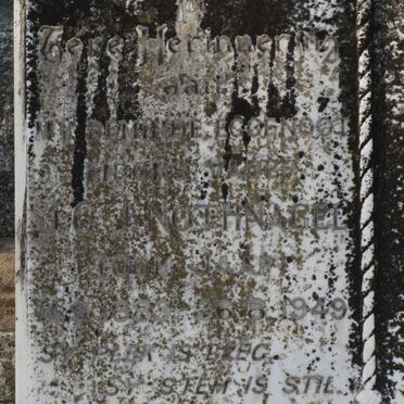 NOTHNAGEL J.C.J. 1883-1949