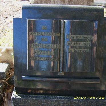 P - Vanne :: Surnames - P