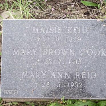 REID Maisie -1899 :: COOK Mary Brown -1913 :: REID Mary Ann -1952