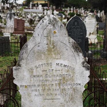 ROBINSON Emma Elizabeth nee JONES -1900