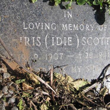 SCOTT Iris 1907-1999