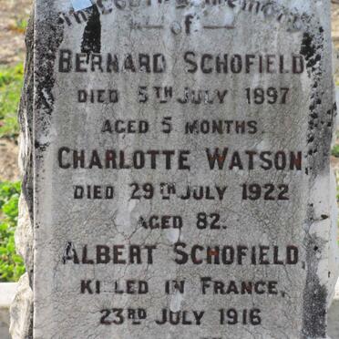 SCHOFIELD Bernard  -1897 :: WATSON Charlotte -1922 :: SCHOFIELD  Albert  -1916