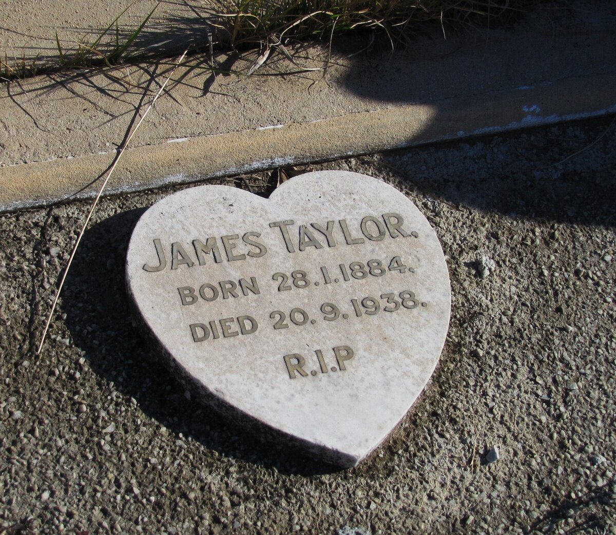 TAYLOR James 1884-1938
