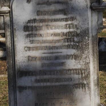 TESORIERE Giovanni 1849-1910 :: THOMSON Grace Amelia nee ADAMS -1915