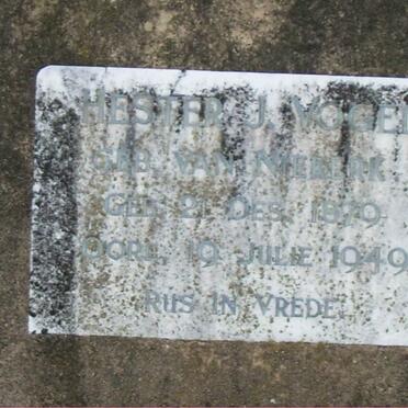 VOGEL Hester J. nee VAN NIEKERK 1879-1949