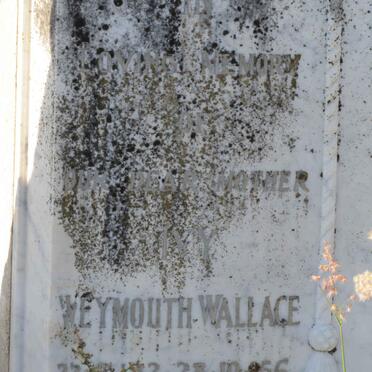 WALLACE Ivy Weymouth 1882-1956