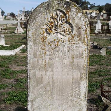 WATSON W. &amp; Adelia -1893 :: WATSON ?  Herbert