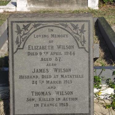 WILSON James -1915 &amp; Elizabeth -1944 :: WILSON Thomas -1918